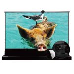 VIVIDSTORM S PRO P Motorised Rollable UST Laser Projector Screen with Acoustic Transparency
